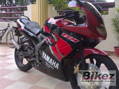2002 Yamaha TZ 125 photo